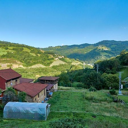 El Pulliu Casa Pichi旅馆 外观 照片